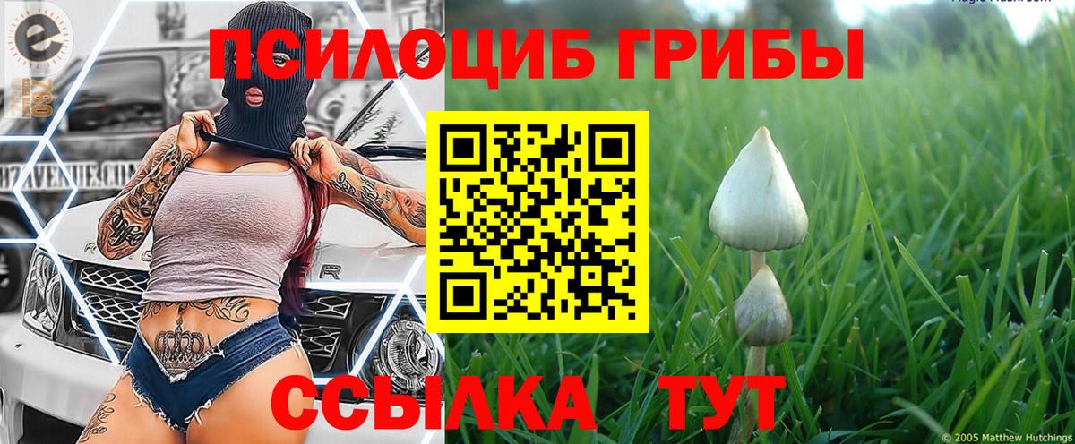 Псилоцибиновые грибы мицелий  Псилоцибиновые грибы прущие грибы  Великий Устюг  где купить наркотик  Вход с VPN 