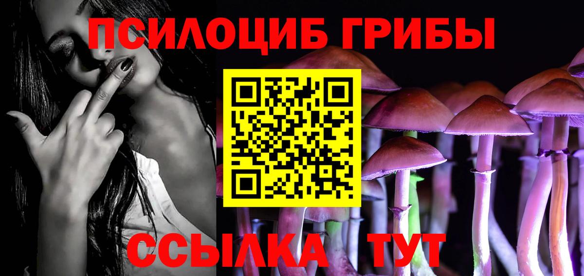 Галлюциногенные грибы Cubensis Великий Устюг